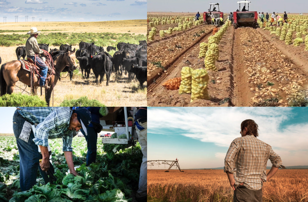 four images of farmers