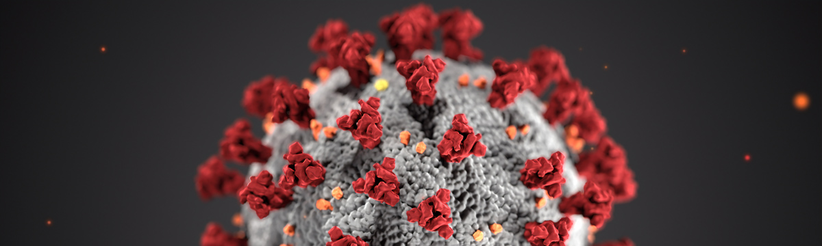 Coronavirus illustration by the CDC