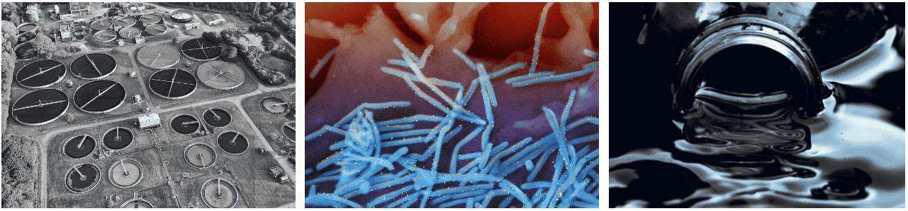 1. Wastewater treatment plant (photo by Altaf Shah, obtained from Pexels open-source); 2. respiratory syncytial virus (source: Wikipedia); 3. Water sampling image (photo by Timilehin Oladapo, obtained from Pexels open-source)