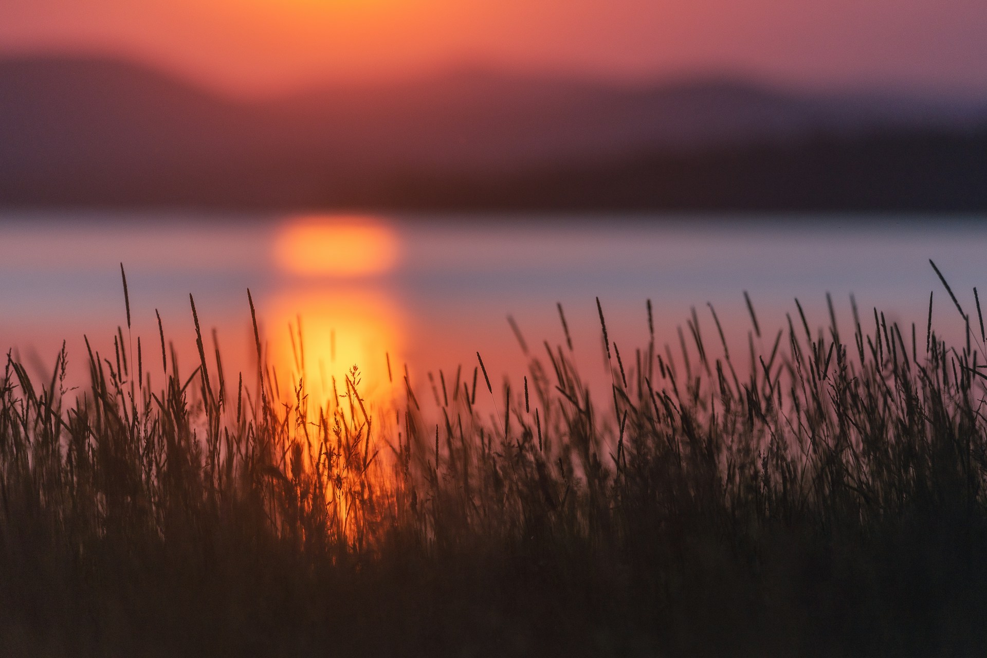 Grass field at sunset