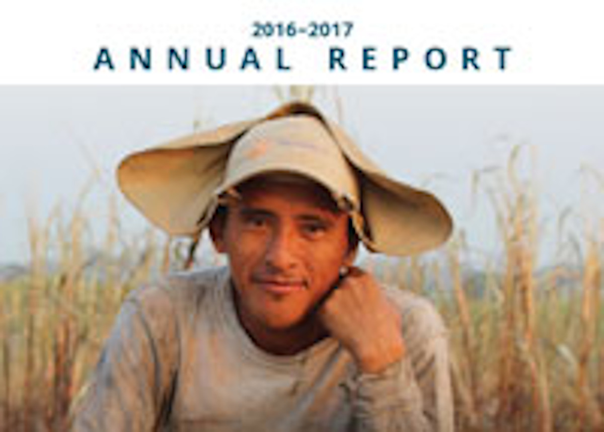 Environmental Annual report cover