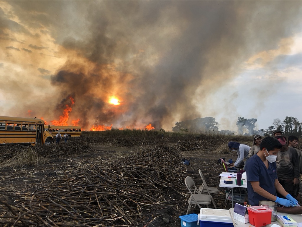 burning field of sugarcane