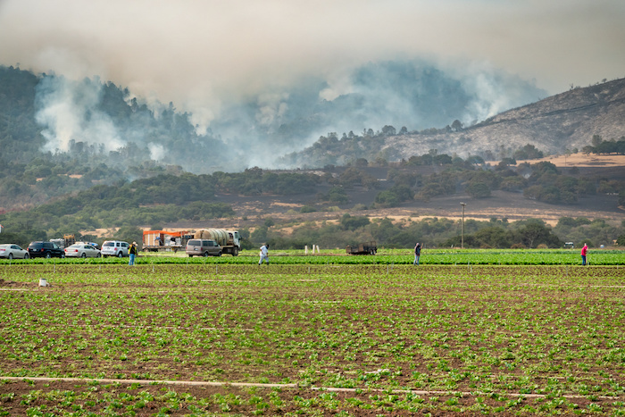 Wildfire and ag workers in Salinas CA