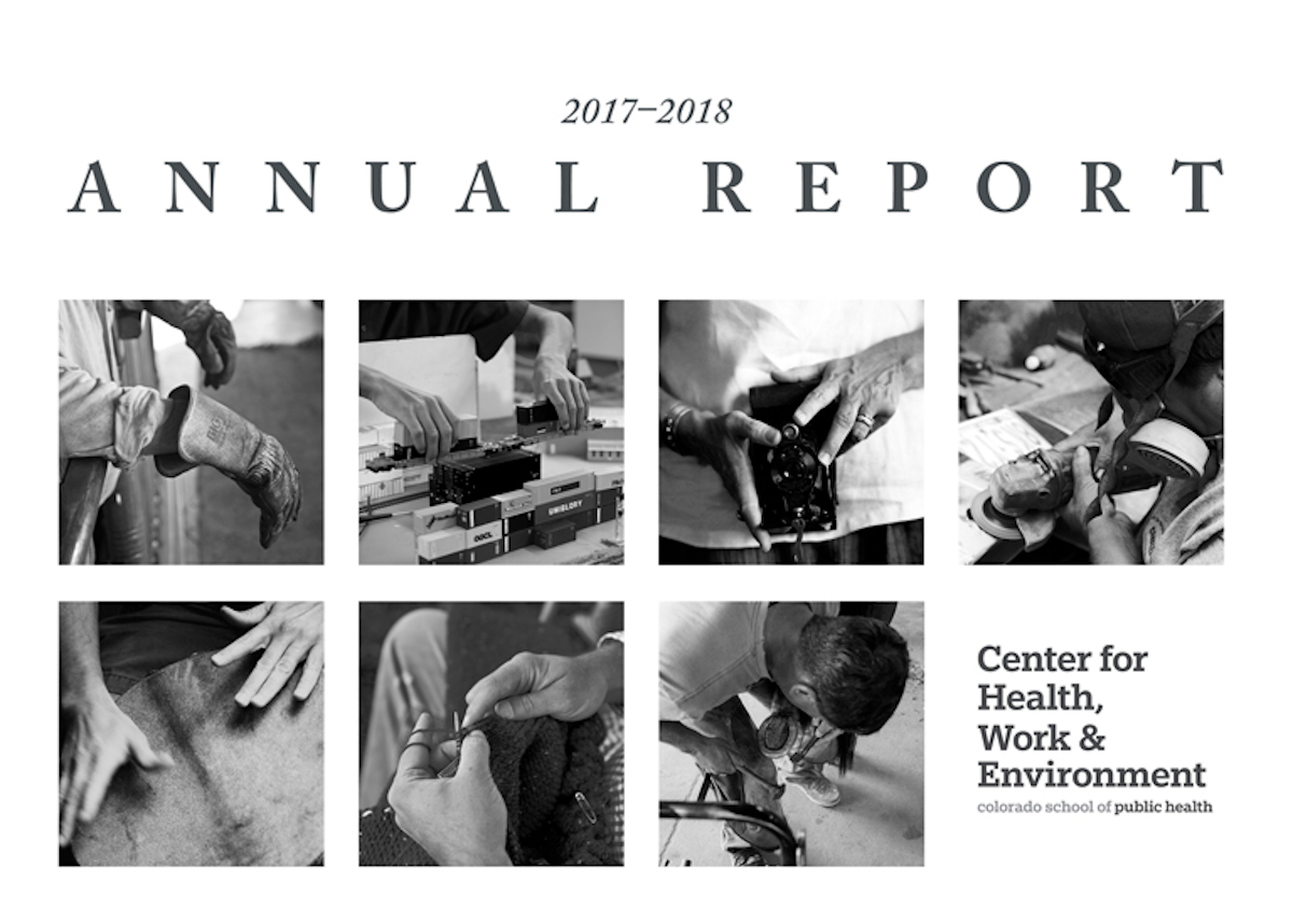 annual report 2017 cover