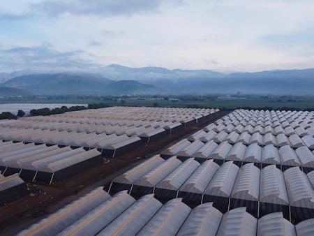 worker typing at a standing desk