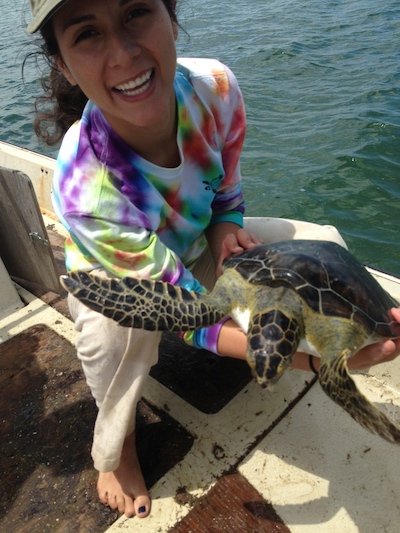 Diana with marine turtles