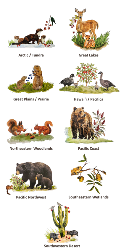 Animals from different regions of the U.S.