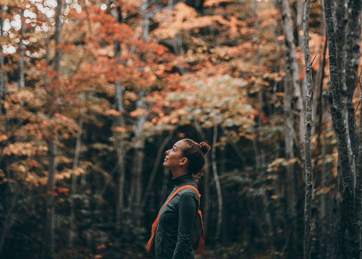 woman looking up at fall foliage and trees