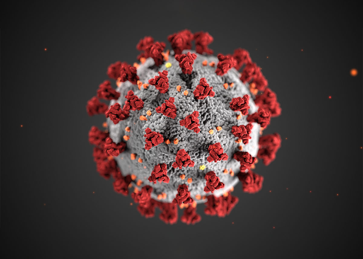 Microscopic image of the COVID-19 virus