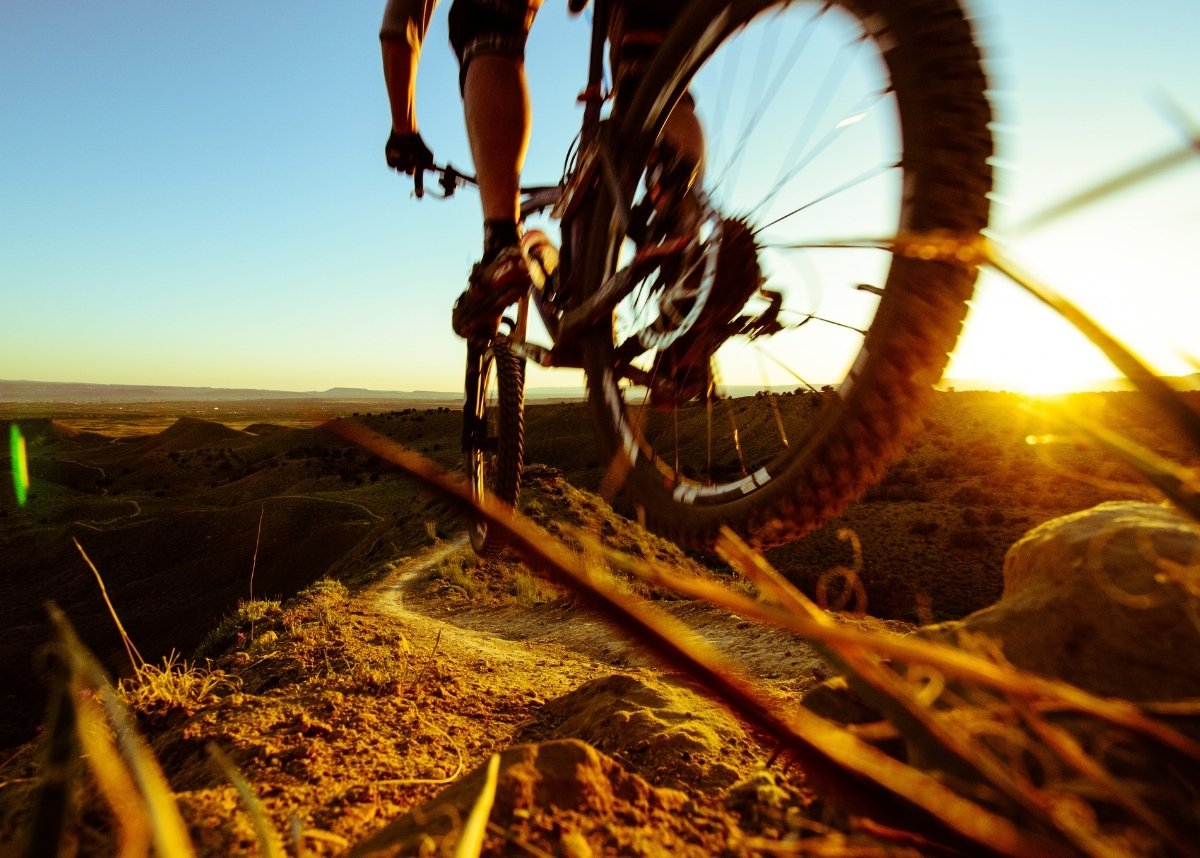 Mountain Biking in Colorado, dramatic bike wheel in focus