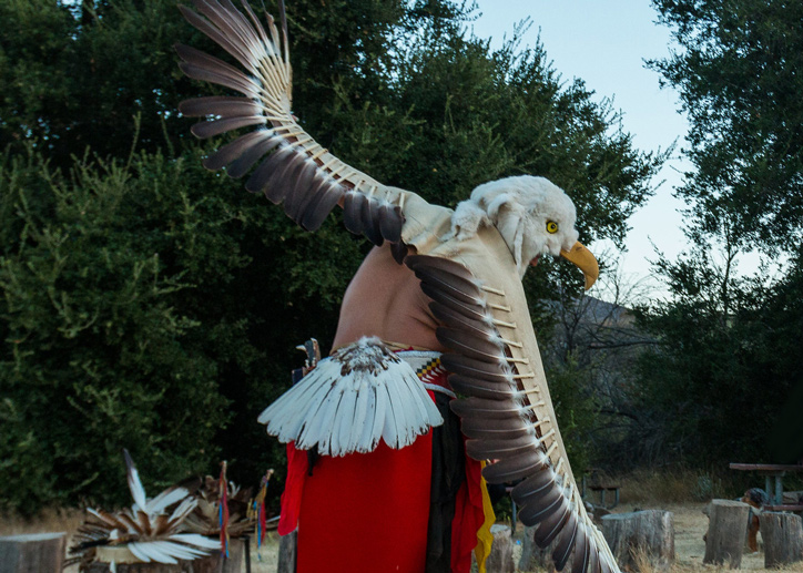 Native dancer dressed as eagle