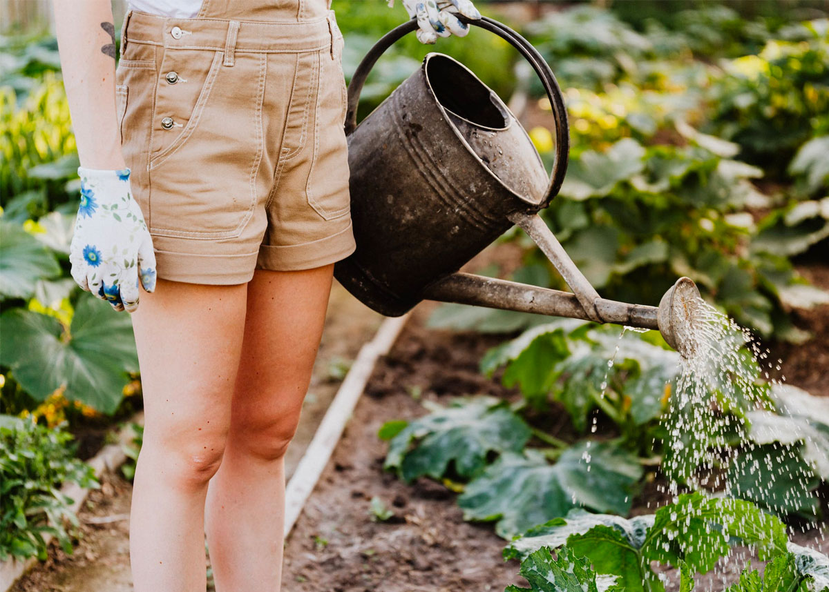 Person using a watering can in a garden