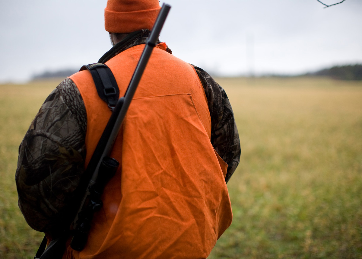 Hunter wearing orange vest and carrying a gun from behind