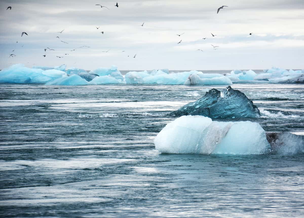 Icebergs in seawater