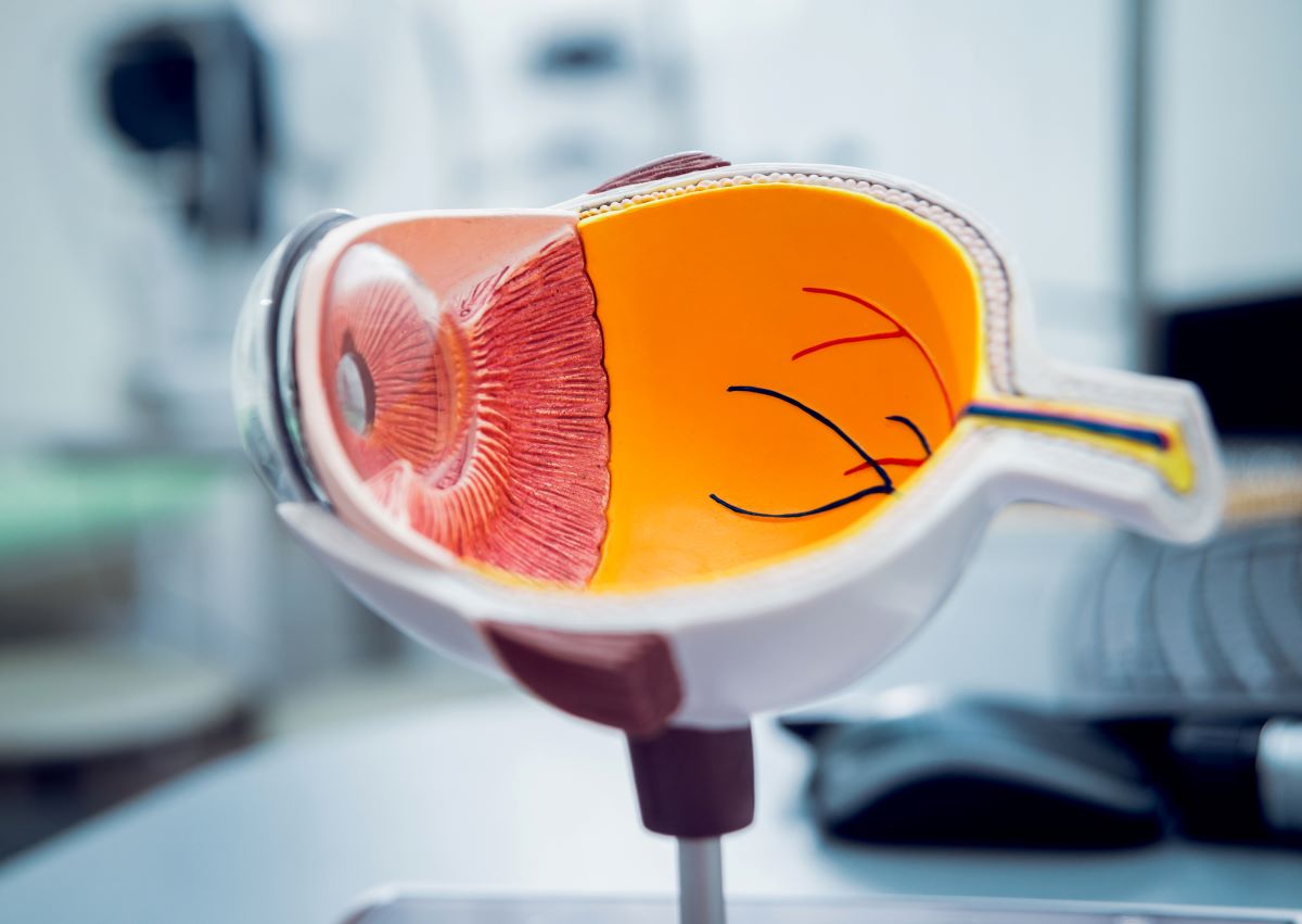 Ophthalmic equipment