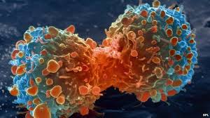 close up of cancer cell