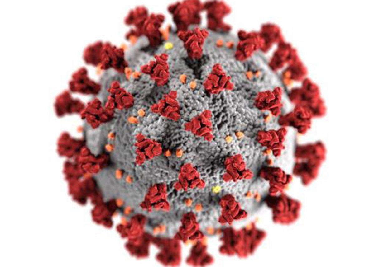 Diagram of coronavirus that causes COVID-19