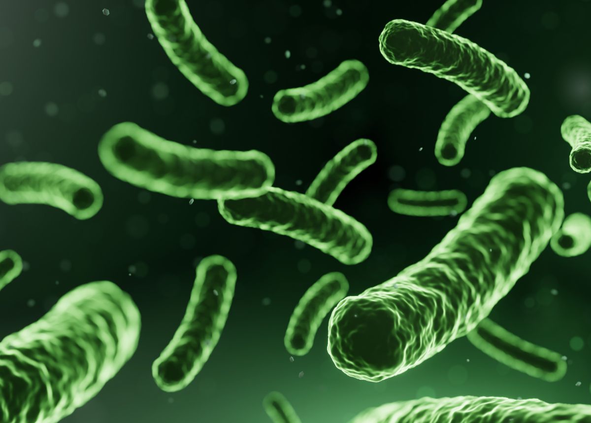 Micro probiotic lactobacillus green microorganism Realistic style. Medical, healthcare and scientific concept.