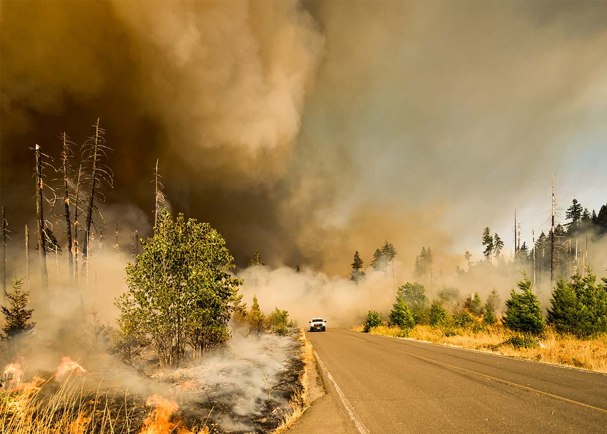 Truck driving down a road surrounded by a burning forest