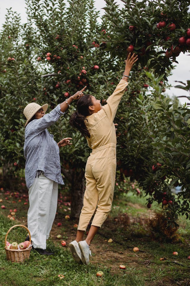 mom and teenager picking fruit