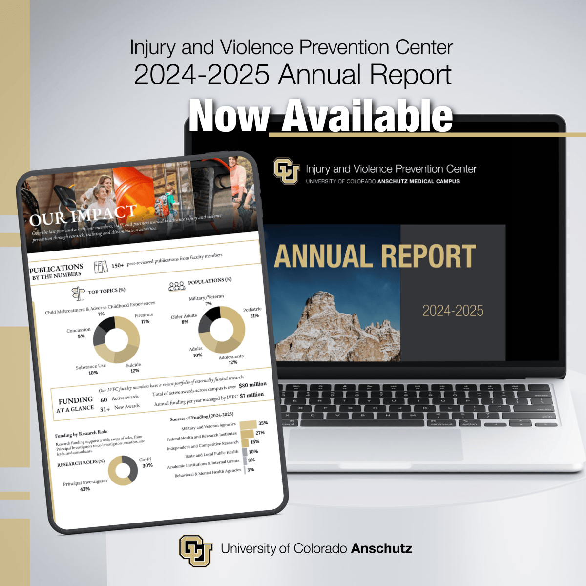 injury center annual report